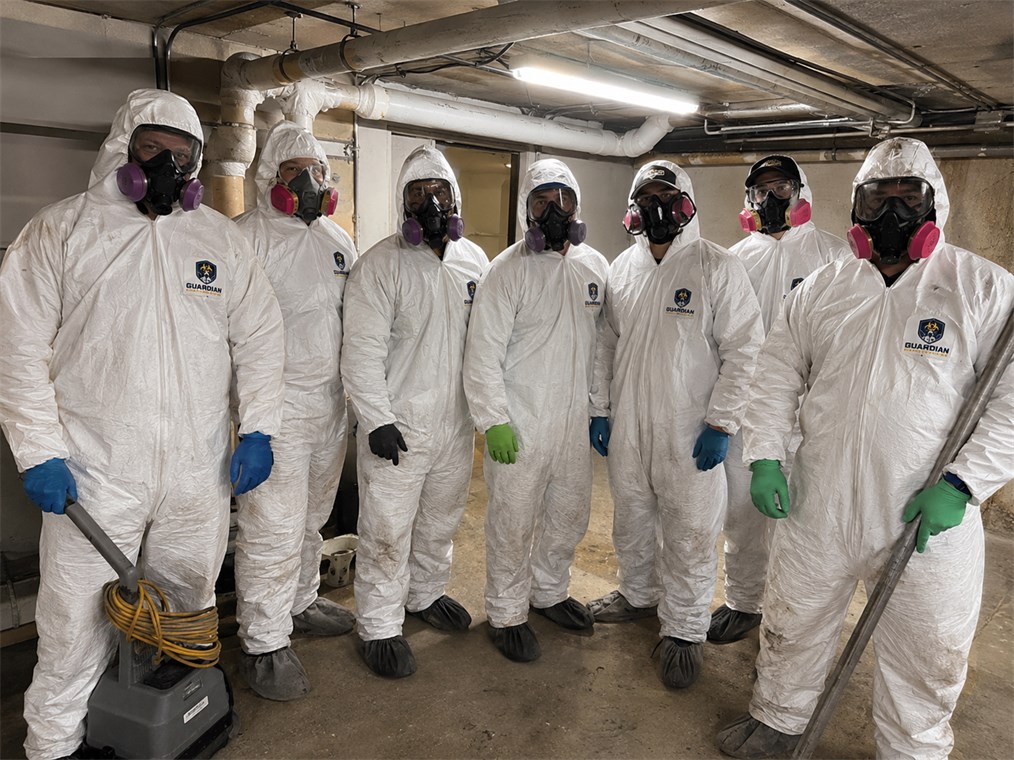 Professional cleanup team in protective uniforms