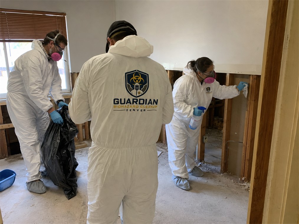 Residential cleanup room